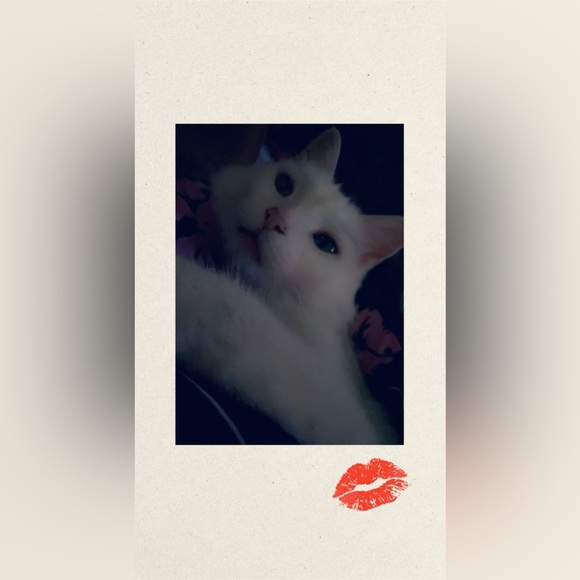 Meet your Posher, Tasha ❤️ - Picture 6 of 11